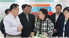 市委副書記、代市長艾麗華來我公司考察、調(diào)研