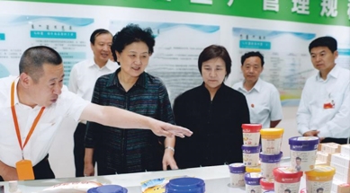 原中共中央政治局委員、國務院副總理劉延東視察我公司